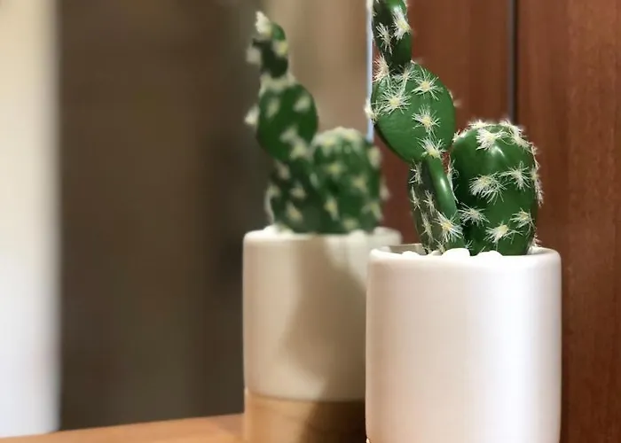 Elba Colle - Nel Ma Vicina Al Mare Villa Marina di Campo