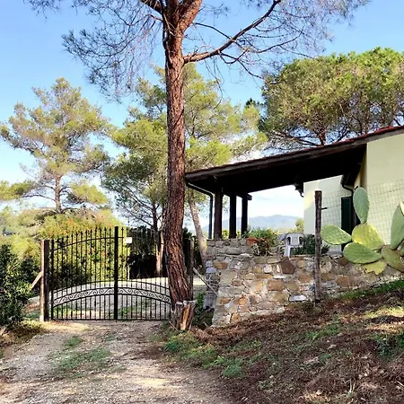 Elba Colle - Nel Ma Vicina Al Mare