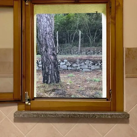 Elba Colle - Nel Ma Vicina Al Mare