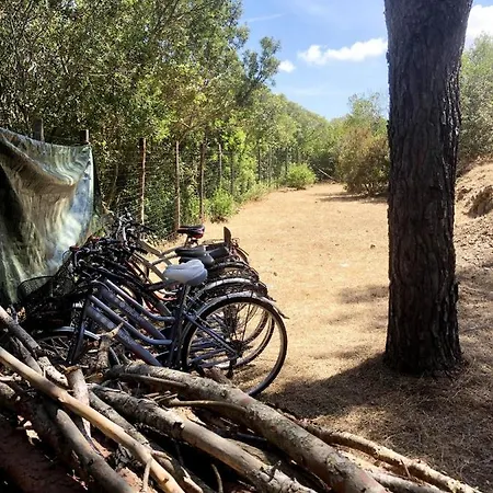 Elba Colle - Nel Ma Vicina Al Mare